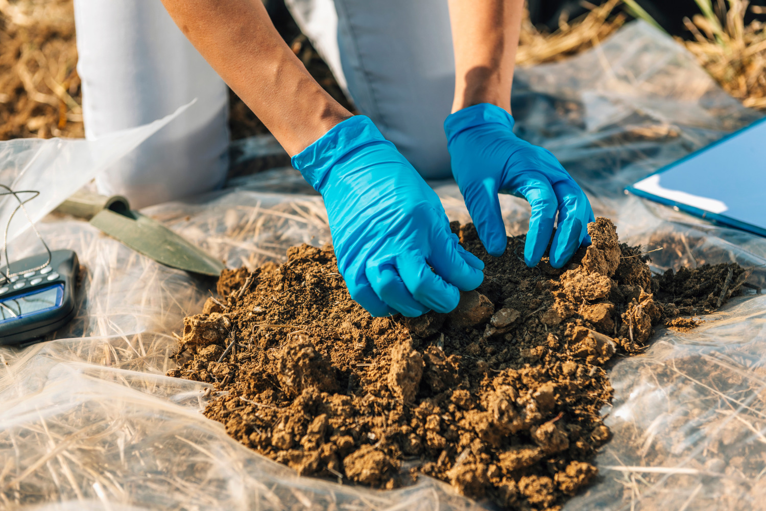 An inspector in a field checking the soil.