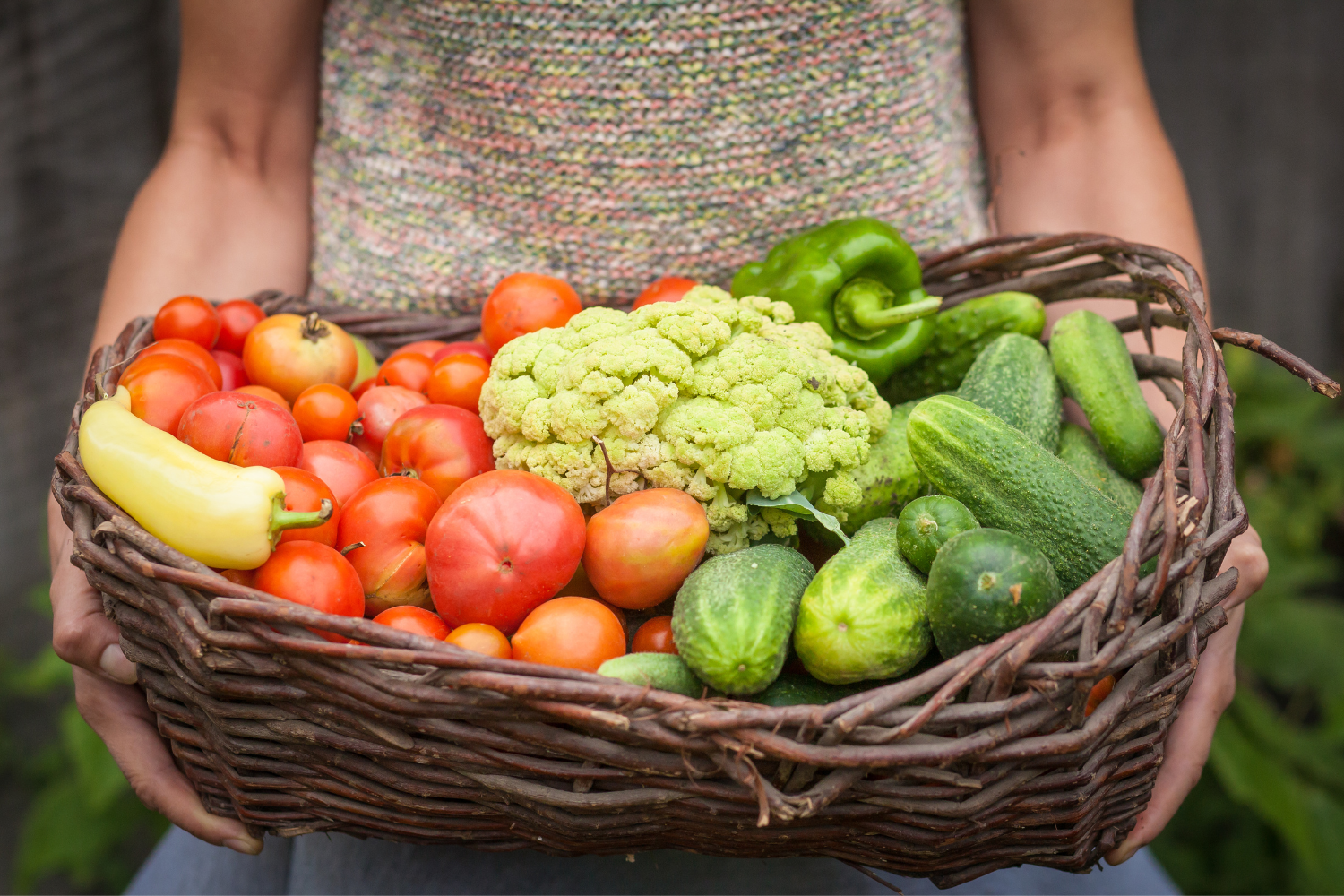 A basket of fresh organic produce.