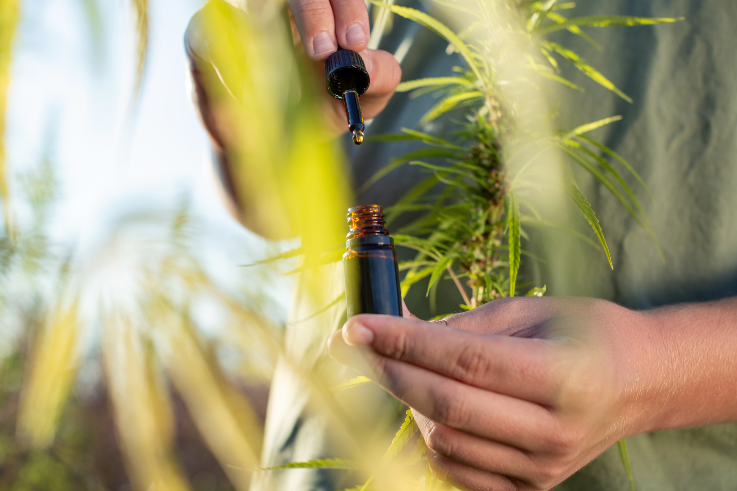 A person holding a hemp oil tincture bottle.