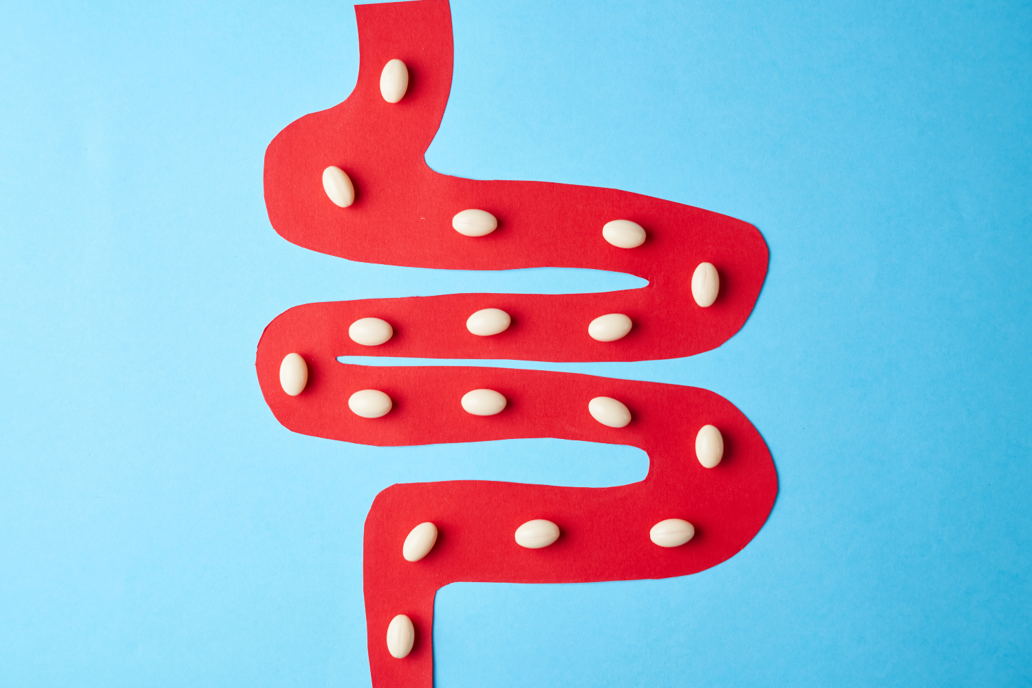 Gut health supplements.