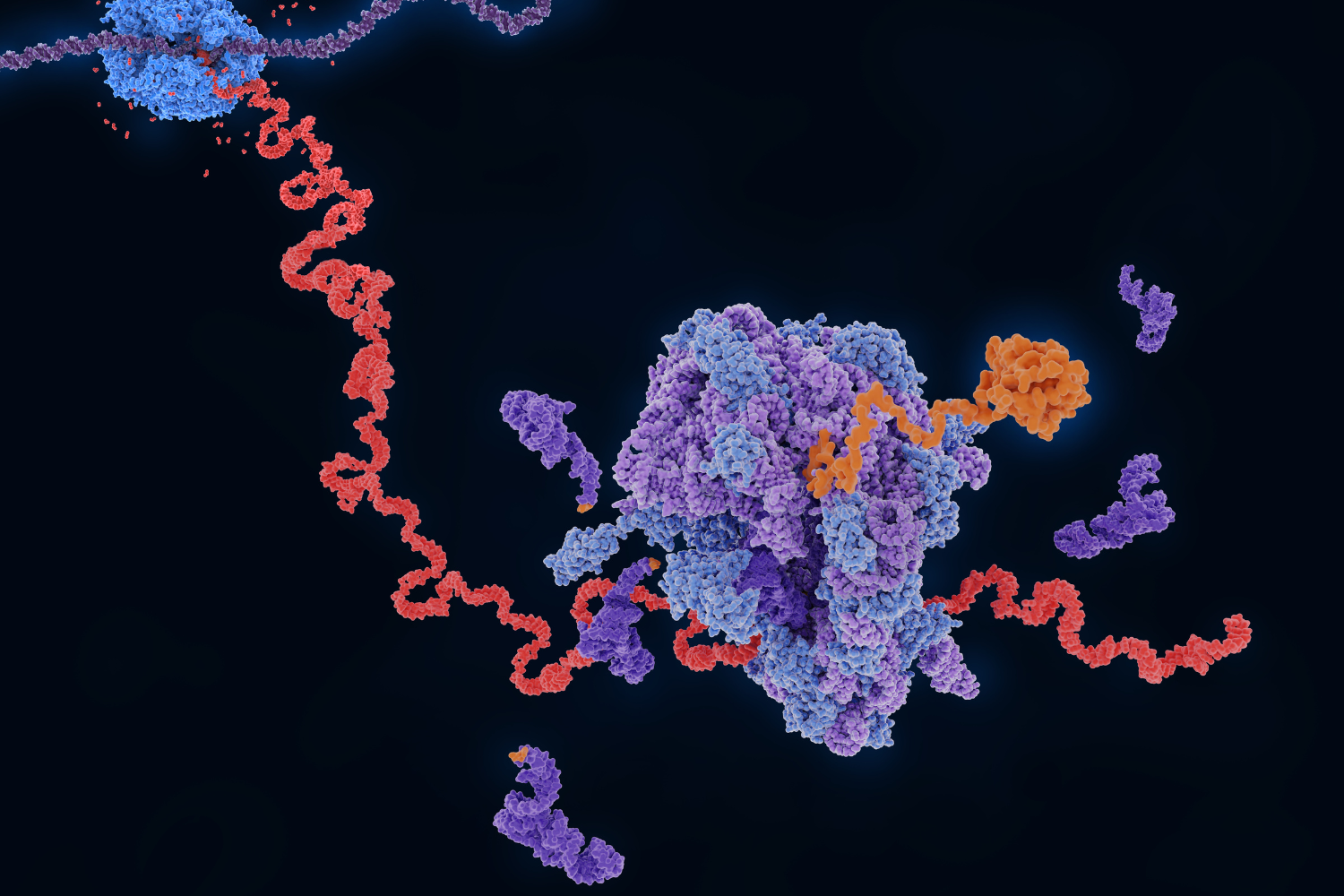 Illustration of nutrient encased in liposome.