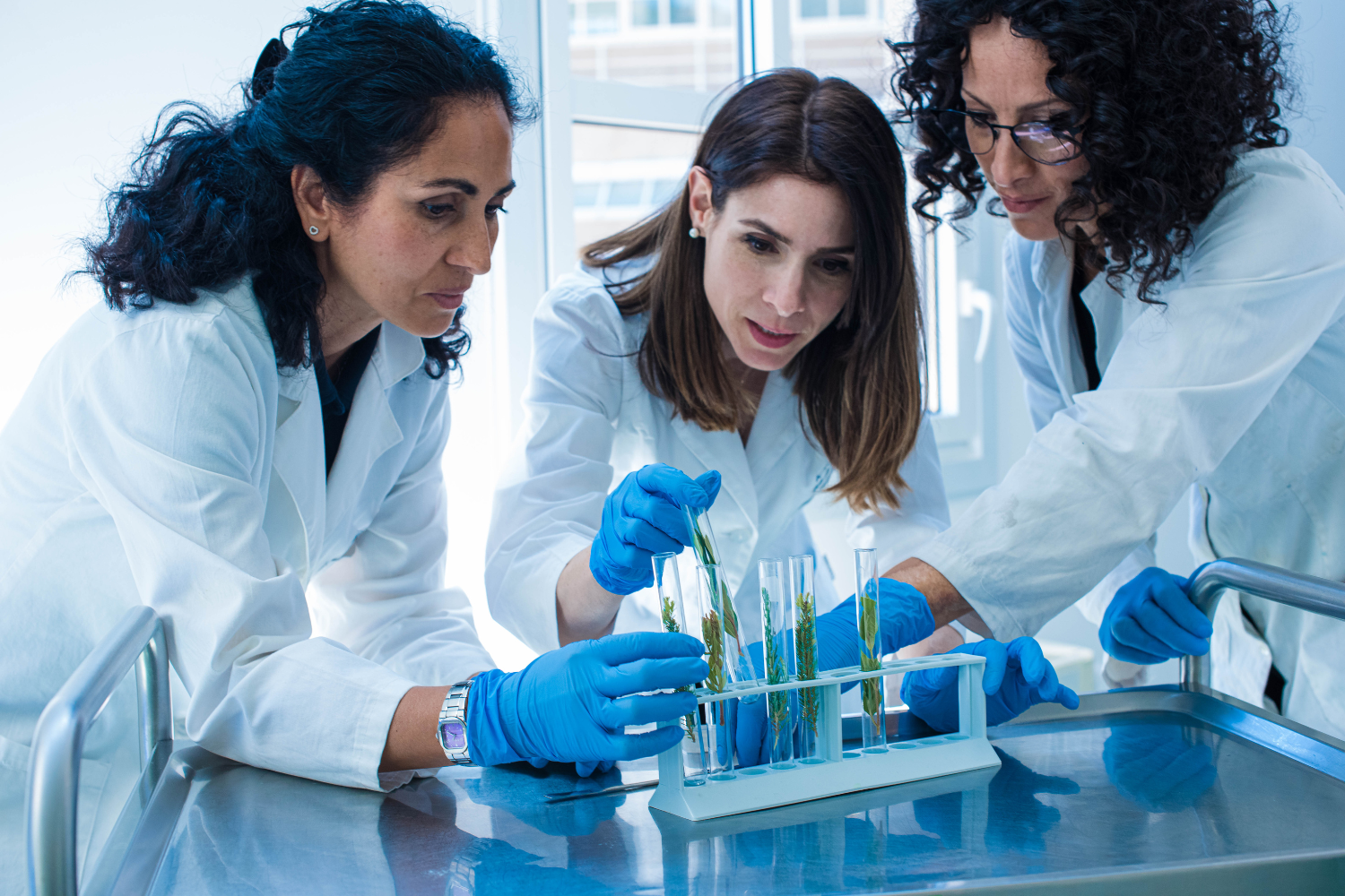 A team of nutrition scientists in a lab.