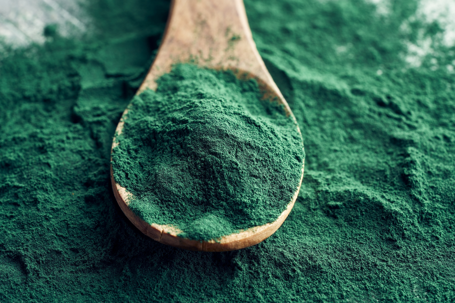 A wooden spoon of spirulina powder.