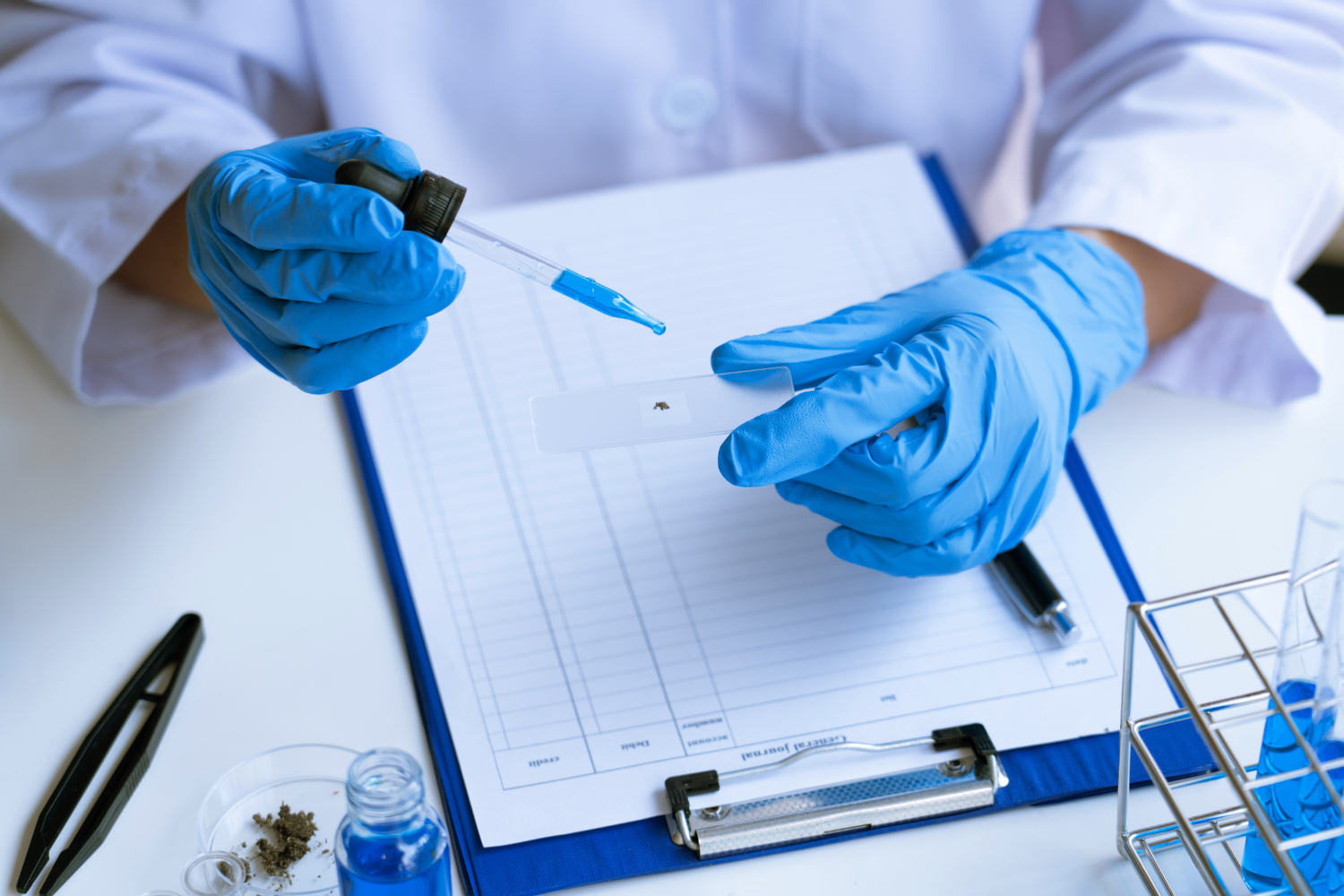 A scientist wearing gloves and a lab coat tests a sample in a laboratory.