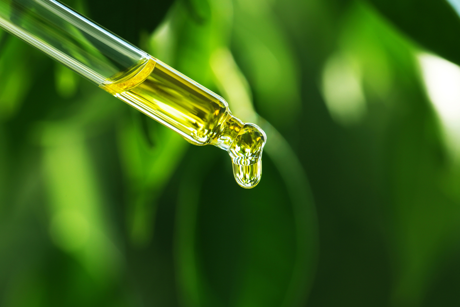 Extracts from a dropper.