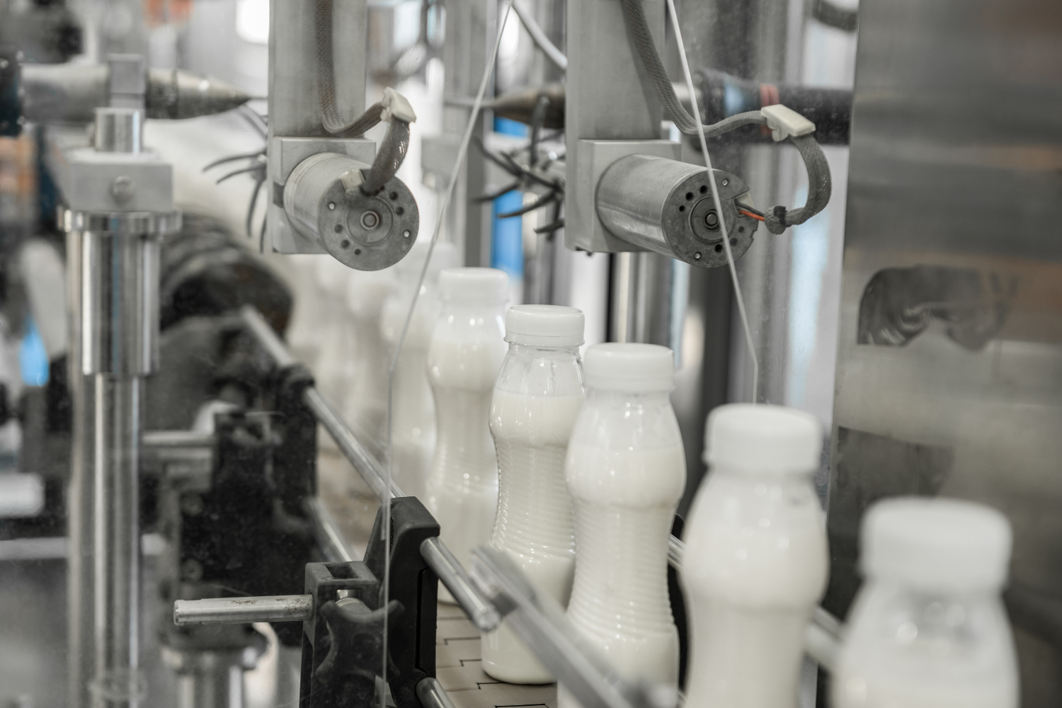 Production line for dairy.