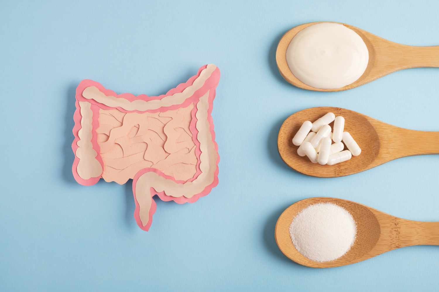 Various ingredients for probiotic supplements.