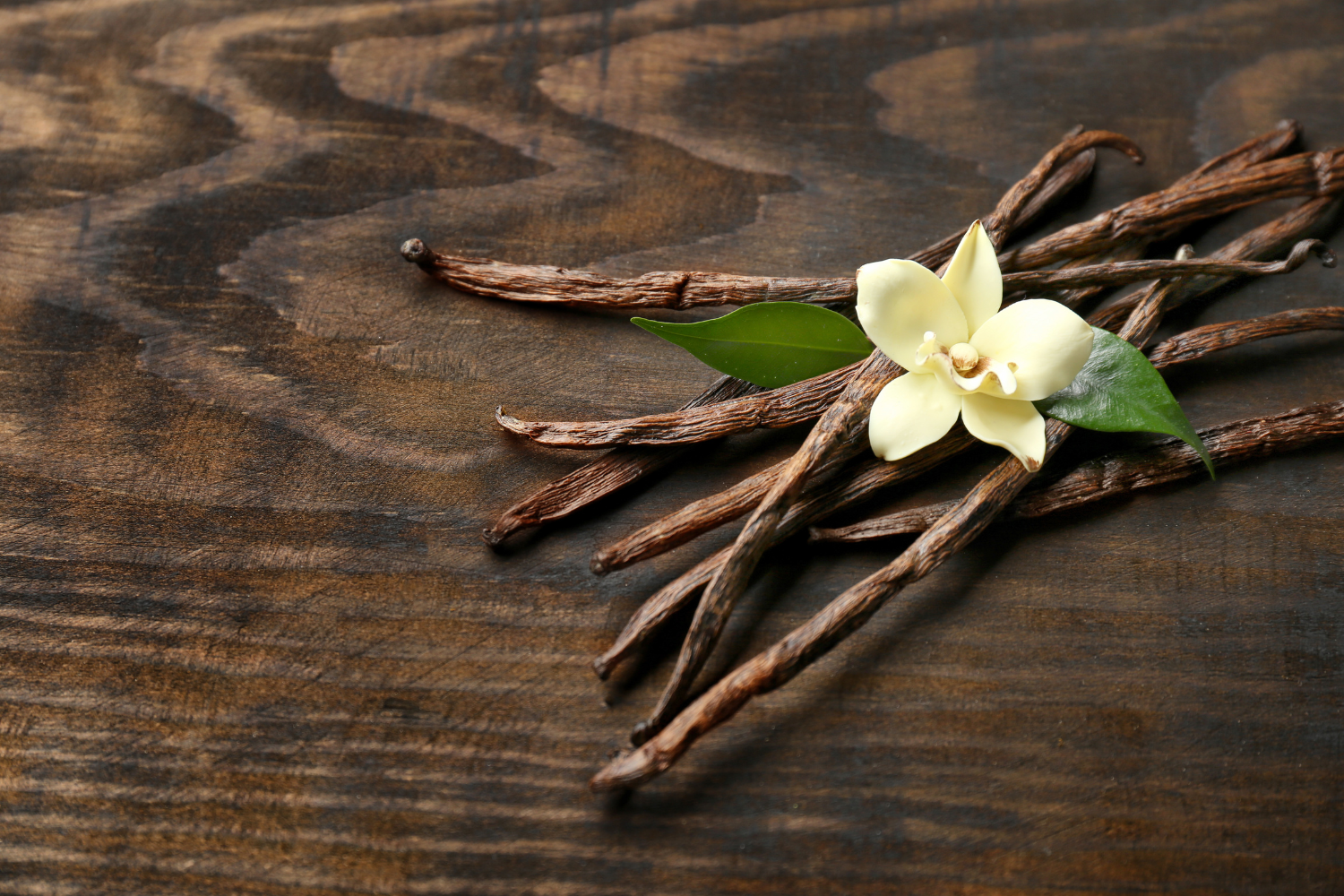 Vanilla bean plant.