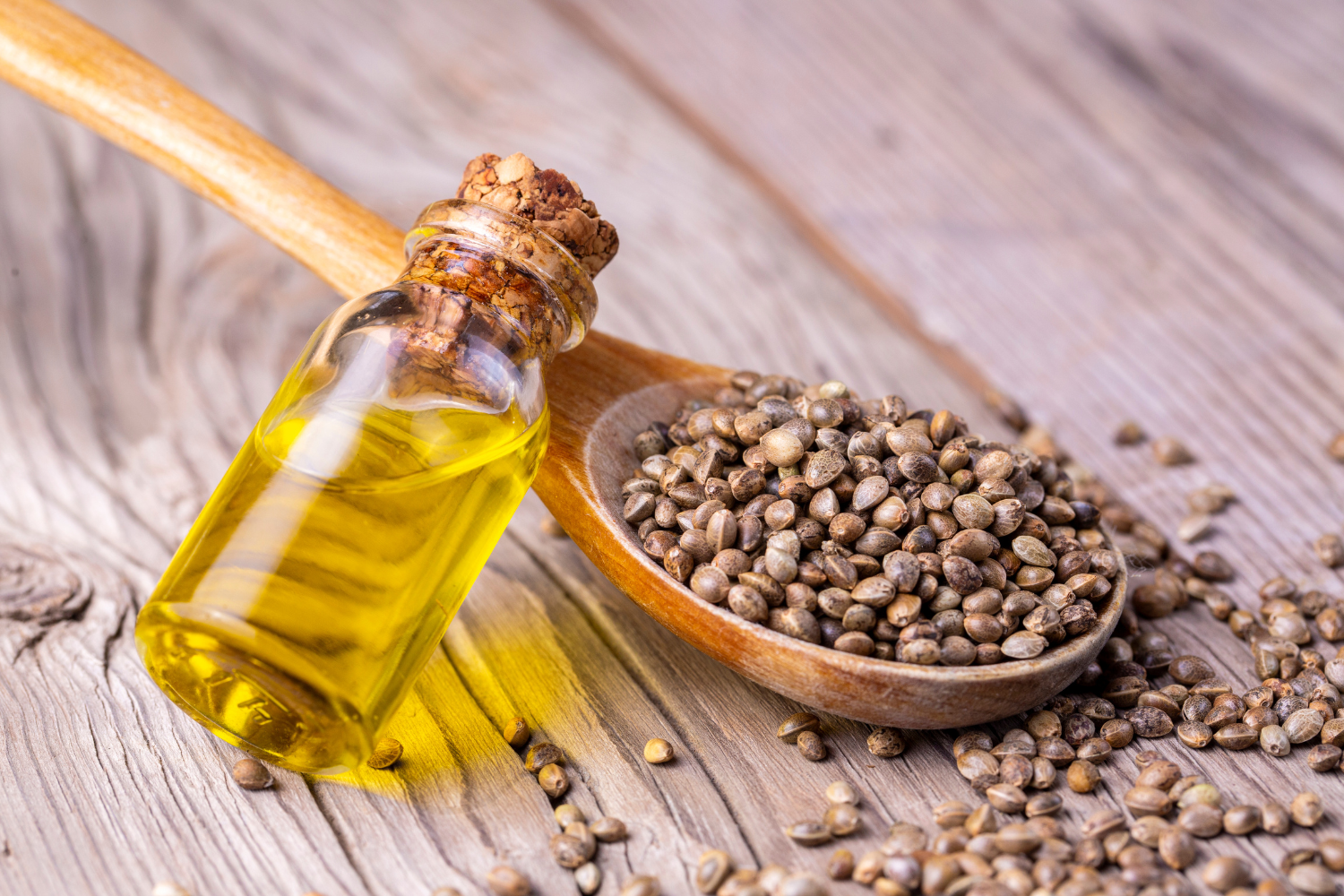 Oil and hemp seeds as vegan ingredients.