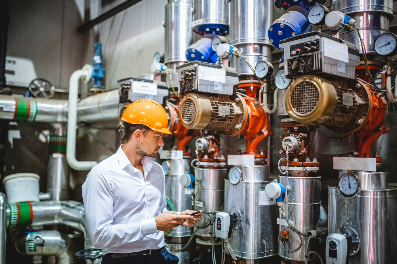Professional doing facility audits.