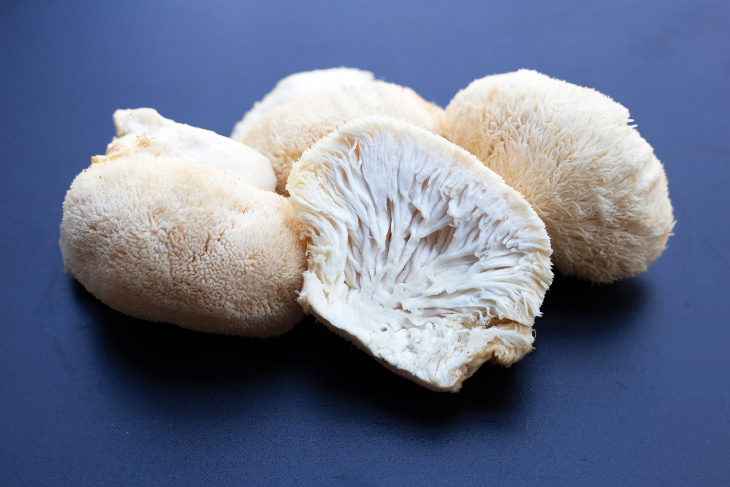 Close-up of fresh Lion’s Mane mushrooms.