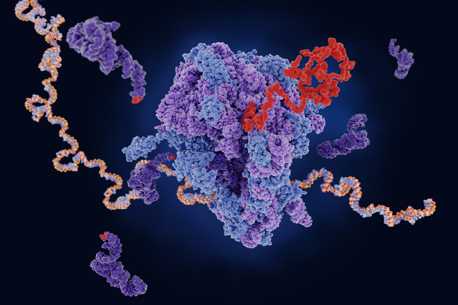 Illustration depicting nutrient protected by liposomes.