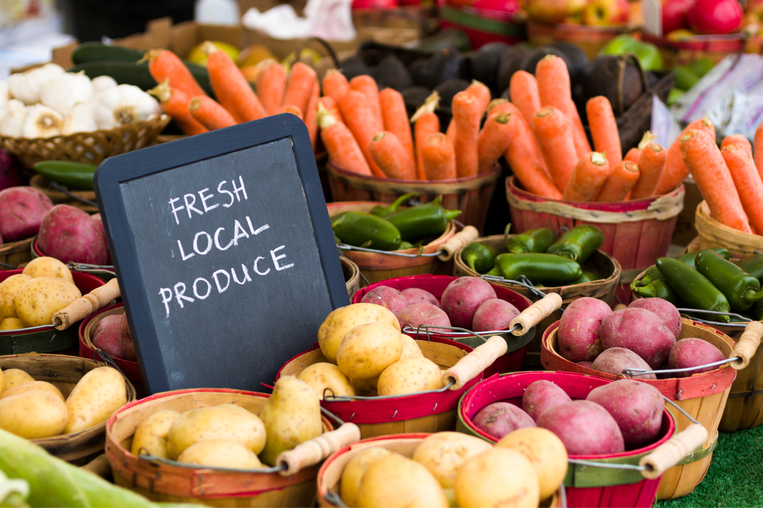 An organic-only marketplace showcasing fresh produce.