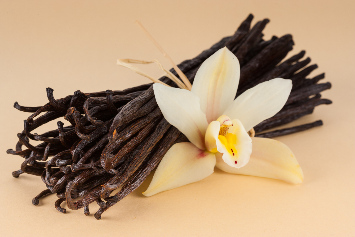 Bundle of vanilla sticks.