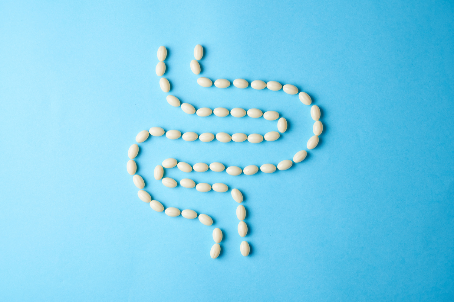 Supplements in the shape of the digestive system.