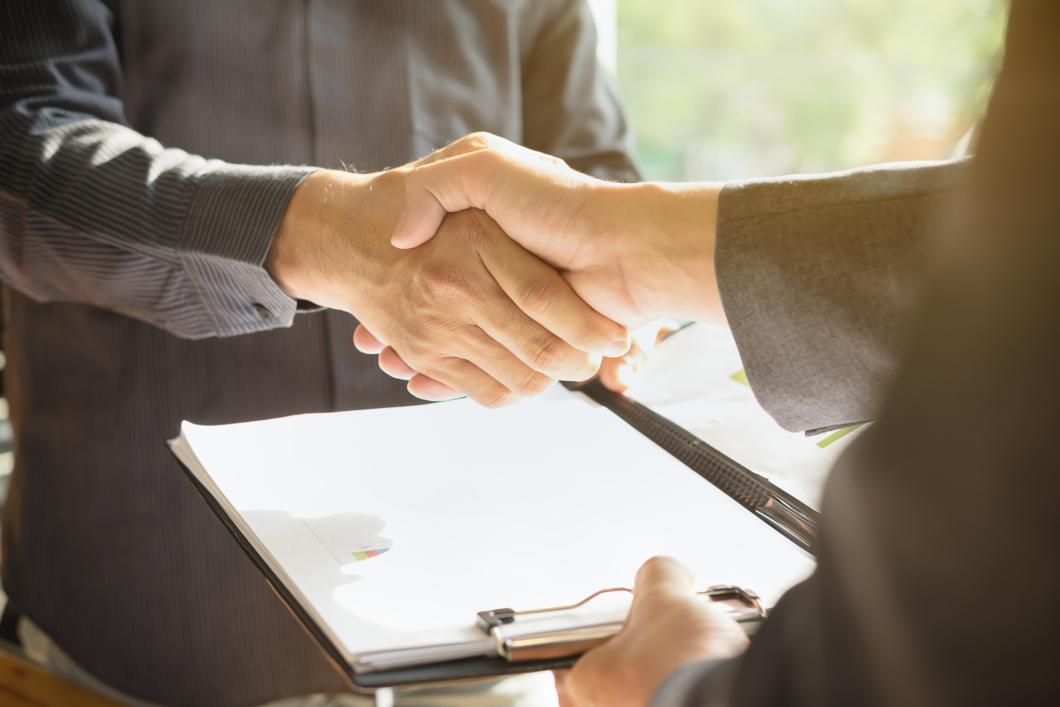 Two businessmen shaking hands.