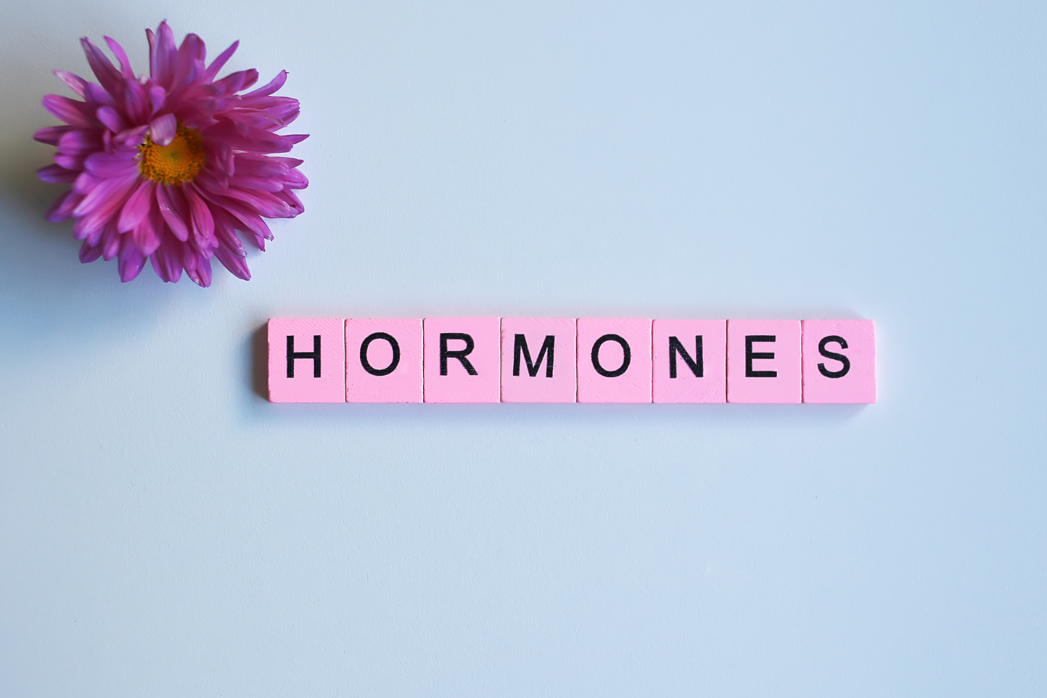 An image of "Hormones" with a pink flower.